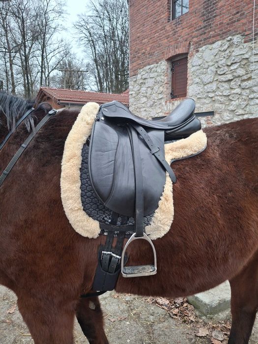 Siodlo ujeżdżeniowe ANKY