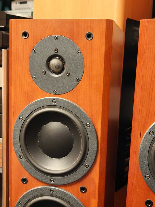 DYNAUDIO FOCUS 220 ! Legendarne kolumnu podłogowe ! TOP
