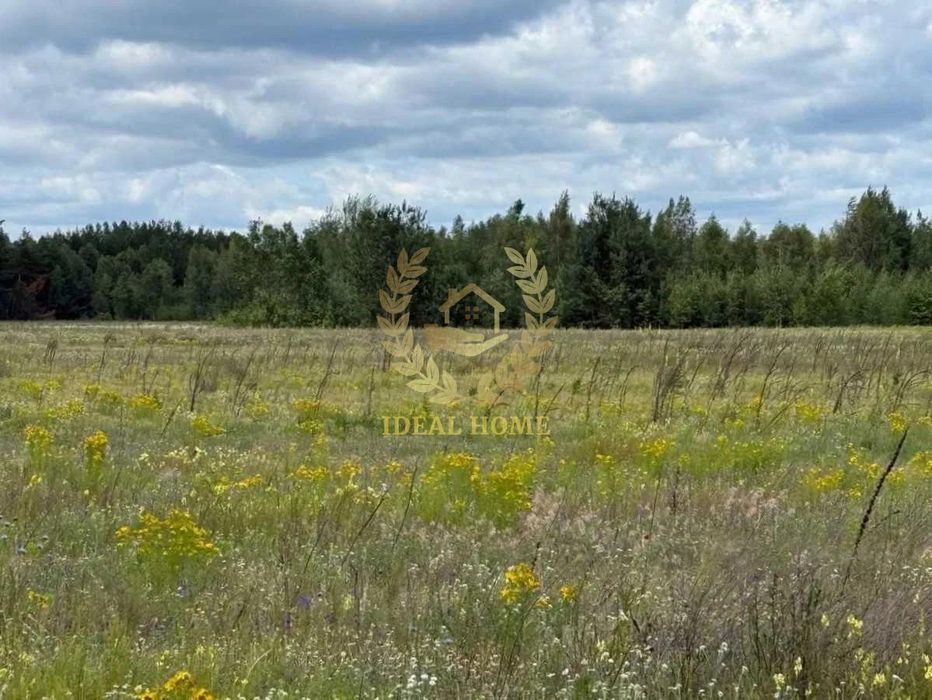 Продам дачну ділянку в с.Дружня Бучанського району.