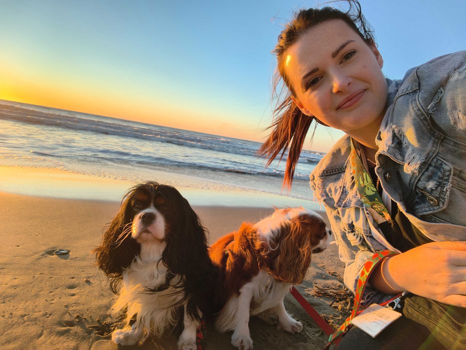 Lekcje języka włoskiego | wszystkie poziomy | konwersacje |faktura VAT