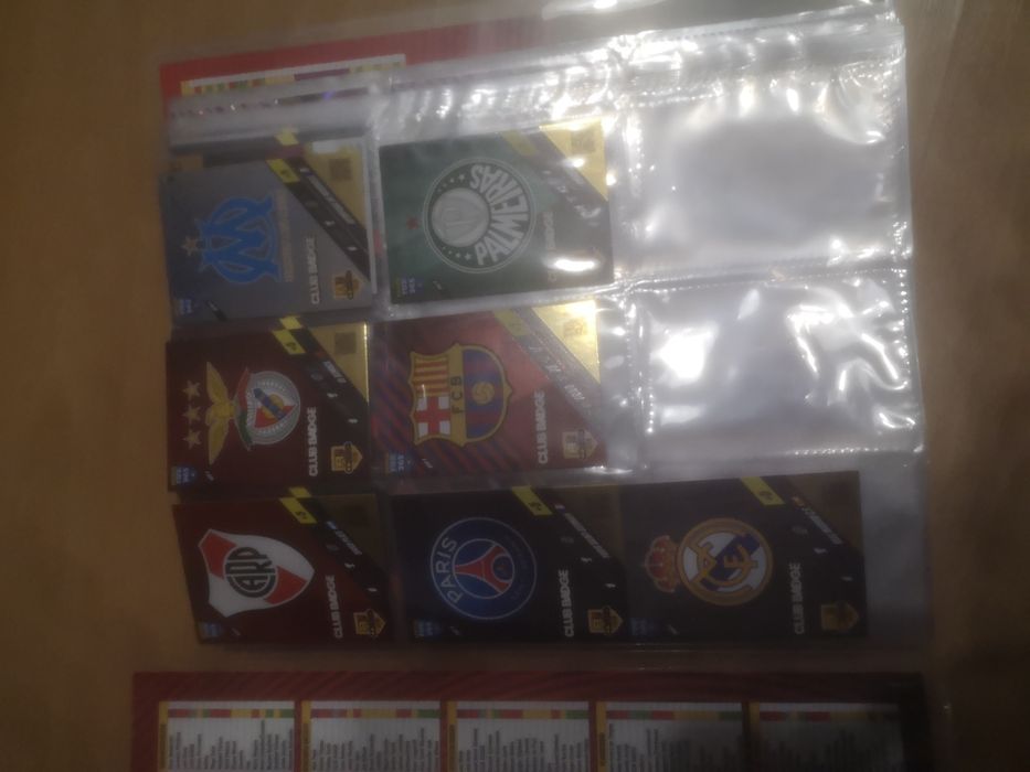 Karty kolekcjonerskie Panini Fifa 365