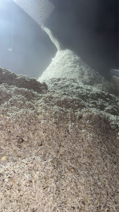 Жом свіжий доставка 6-25тон