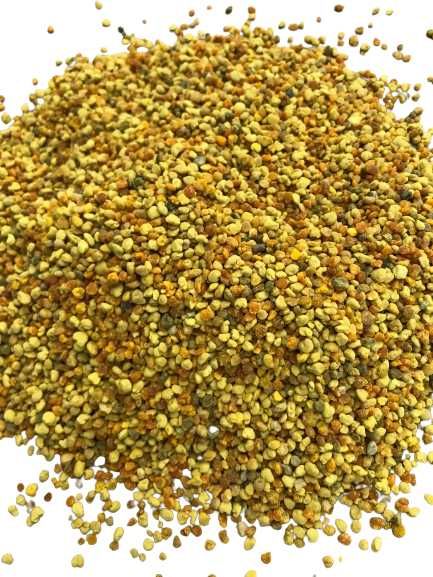 Pyłek pszczeli pierzga propolis miód spadziowy jodłowy