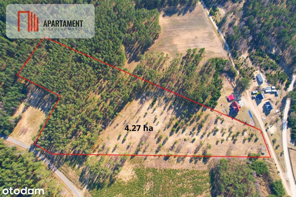 Działka z potencjałem inwestycyjnym na Kaszubach - Ansicht 3