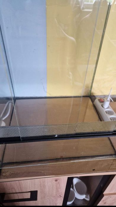 Terarium dla kameleona