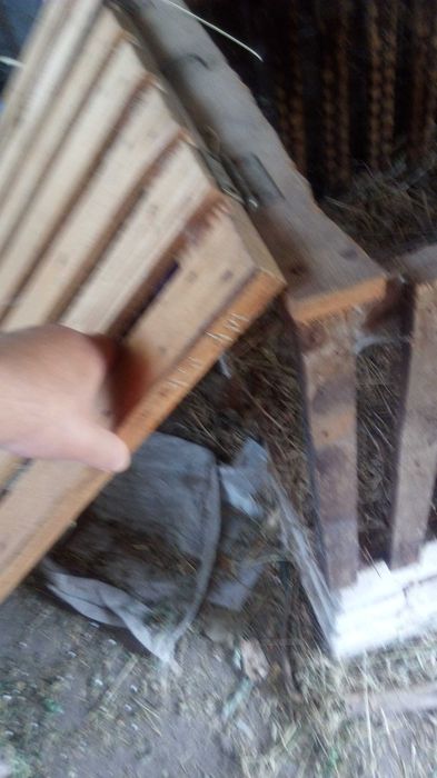 Клетки для кроликов