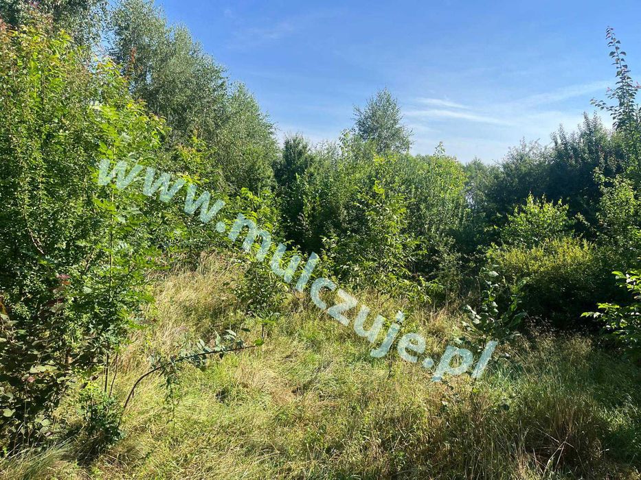 Mulczowanie wgłębne powierzchowne Alwernia Karczowanie działek Mulczer