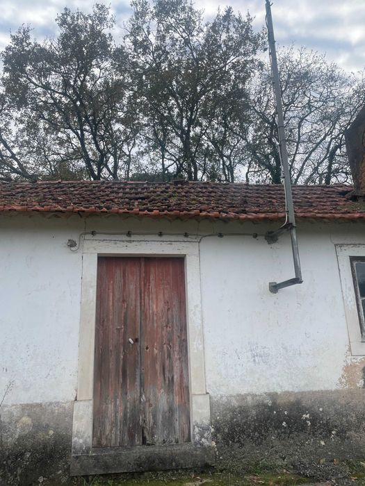 Telhado em Lagares, Colmeias