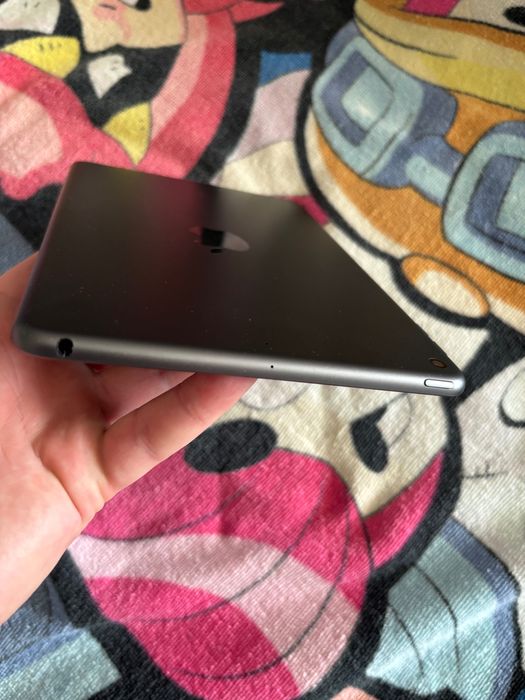 iPad Mini 5 64 Gb Space Gray