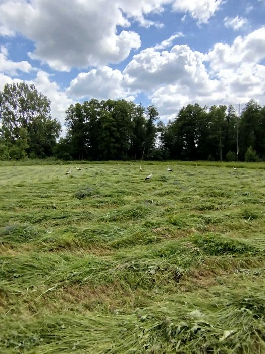 działki nad rzeką atrakcyjna cena