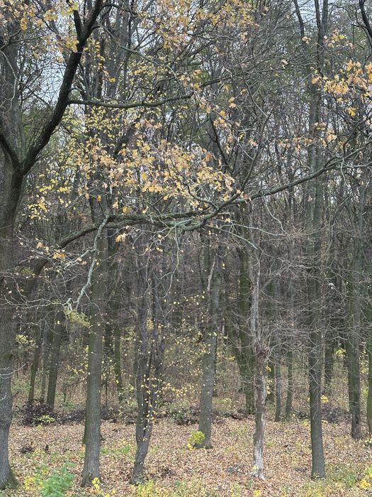 Будинок за адресою вул. Китобійна (площа 120 м²) - Atlanta.ua - фото 14