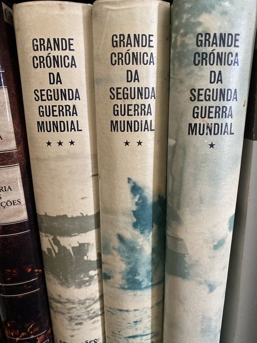 Livro: tematicas de guerras WWI e WWII - Hitler