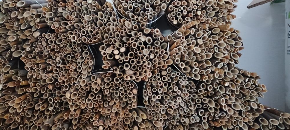 Trzcina , Faktura Vat RR,  słomki , rurki , murarka, integrowana pro