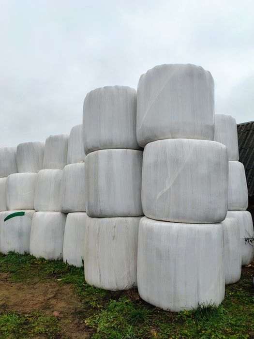 Sprzedam bele sianokiszonki