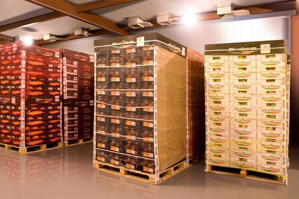 Холодильне кліматичне устаткування камера для бананів Закарпаття