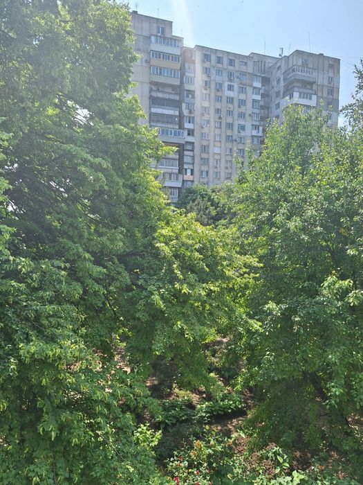 Здам до  літа  1кв.