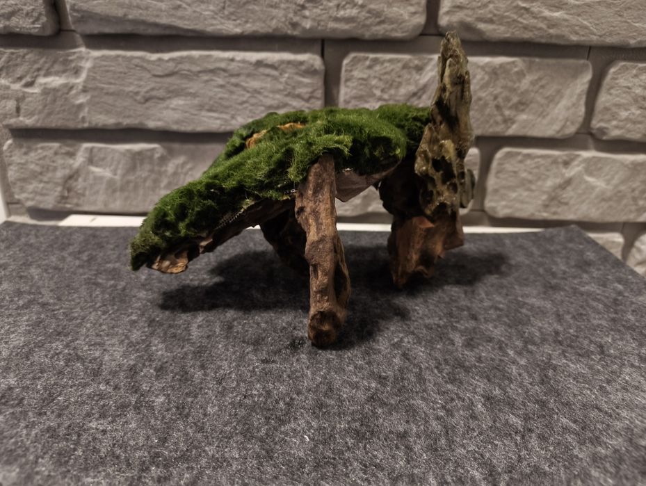 Ozdoby akwariowe drzewka, korzenie, skały