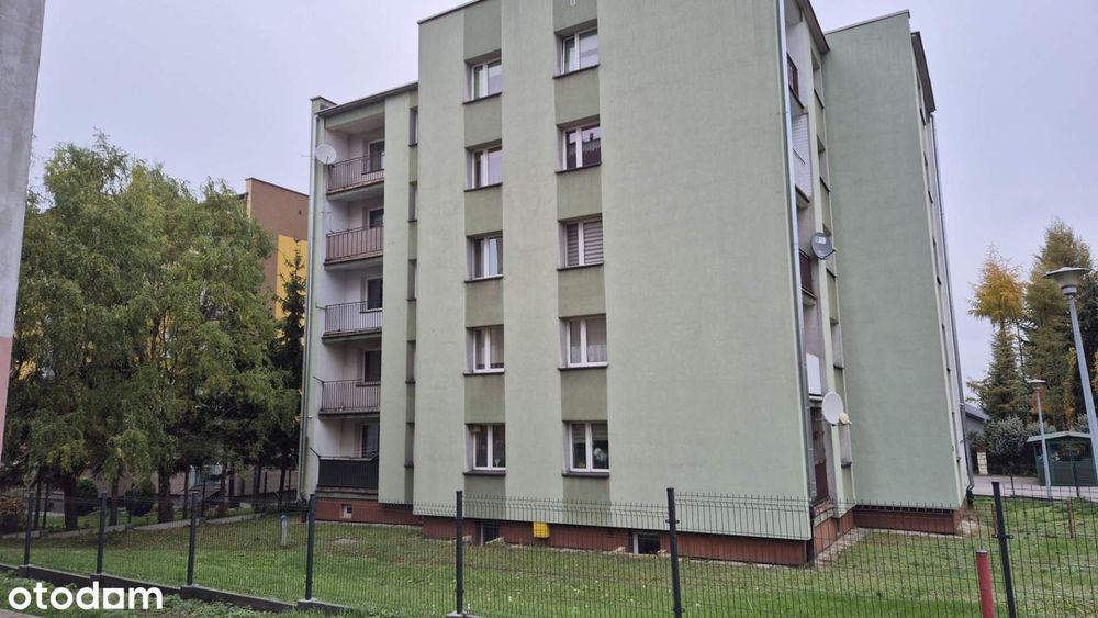Zdjęcie 7