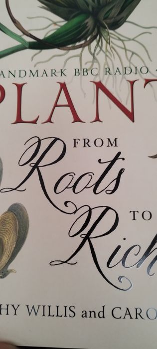 Plants grom roots to Richard Willis, Fry KEW Garden ogród rośliny