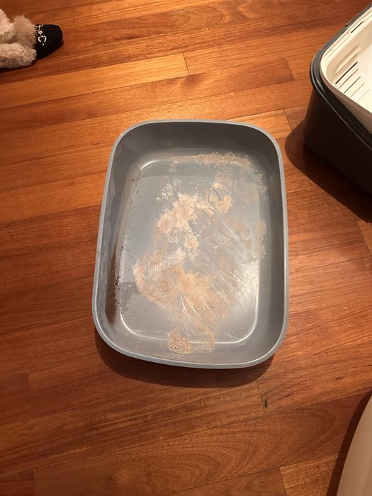 Caixa de areia grande WC