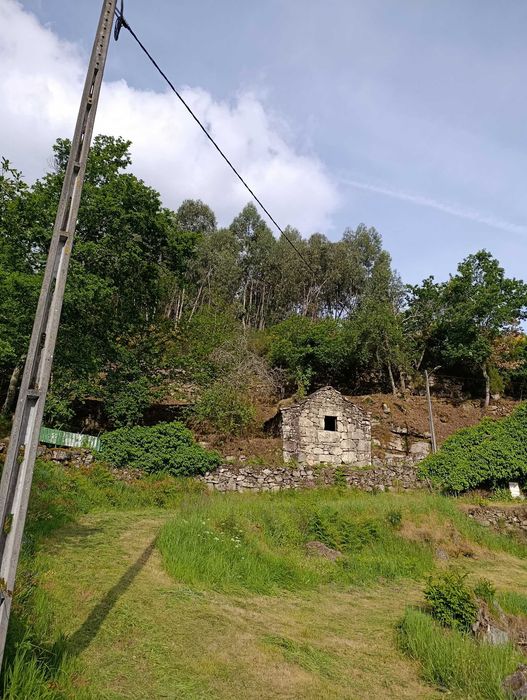 Palheiro em pedra com terreno