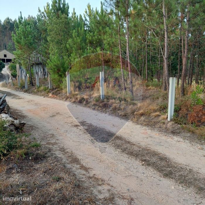 Terreno  para venda — Matas E Cercal, Santarém