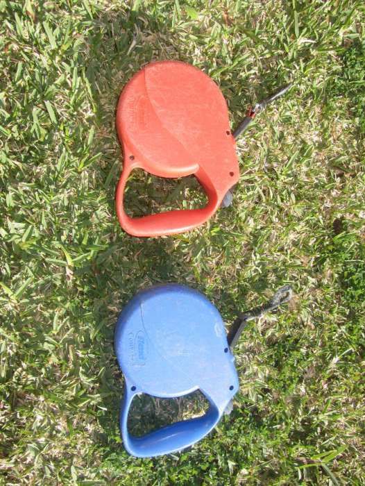 Trela extensível para cão grande FLEXI 3