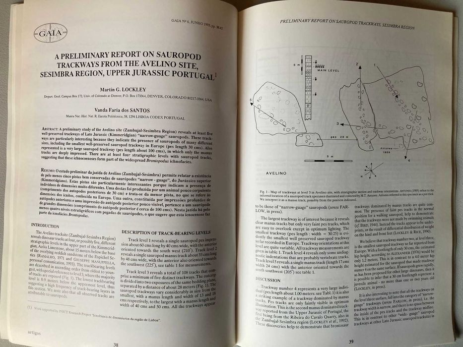 Revista de Geociências Gaia, Nº 6 (Junho 1993)