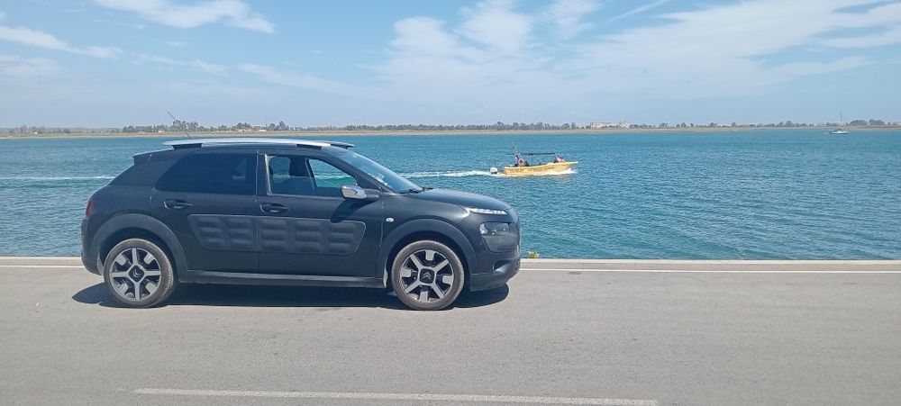 Citroen C4 CACTUS  2015