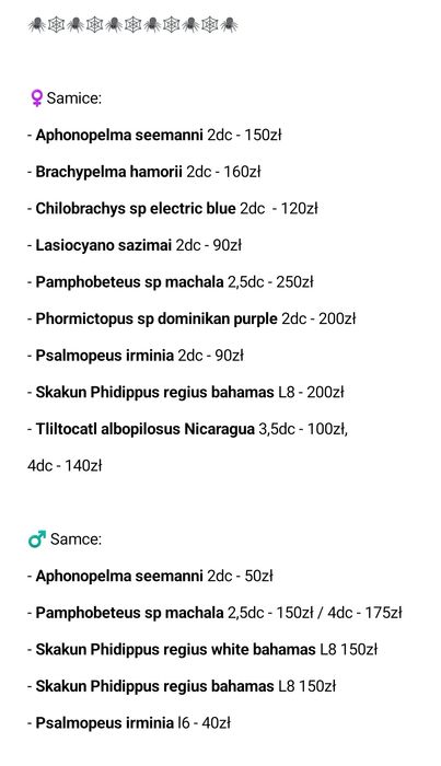 Aphonopelma seemanni samica 2,5dc