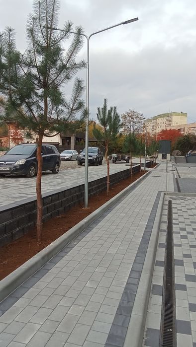 Садівник. Озеленення та ландшафтний дизайн.