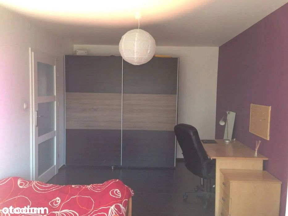 Bezposrednio do wynajecia jasne ciche 56m2 w centrum pestalozziego