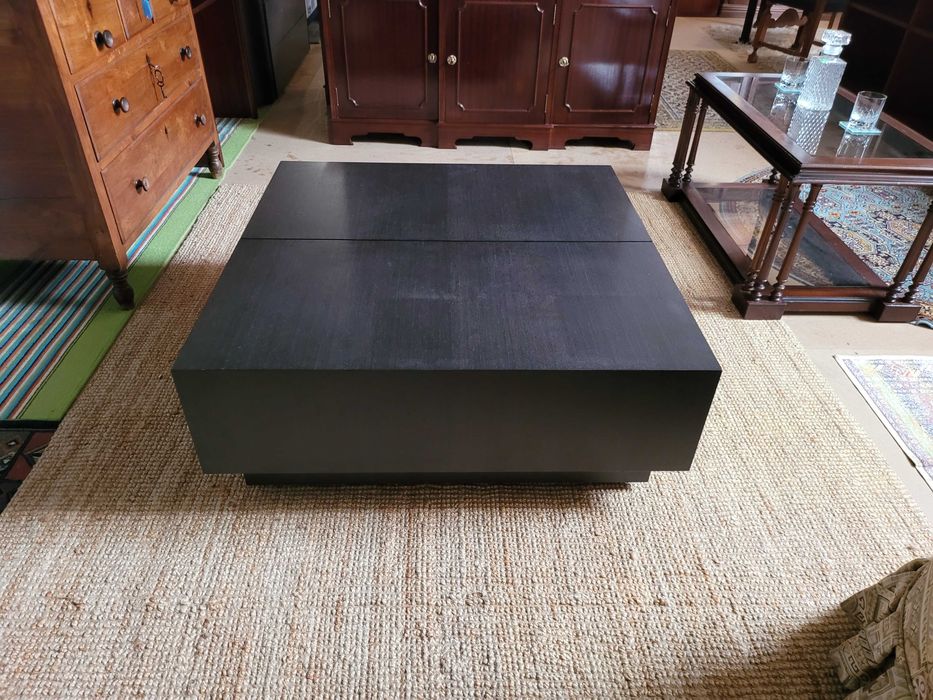Large Antarte Brand Coffee Table / Bar – Like New64584264436610123