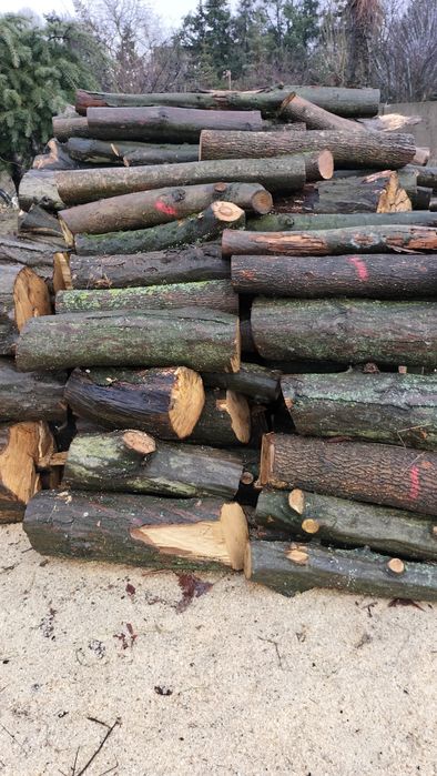 Drewno opałowe walki i gałeziówka