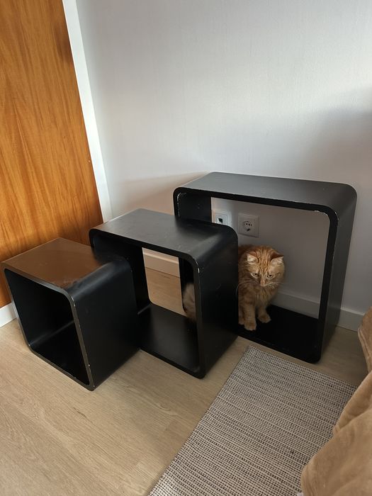 Cubos decorativos pretos