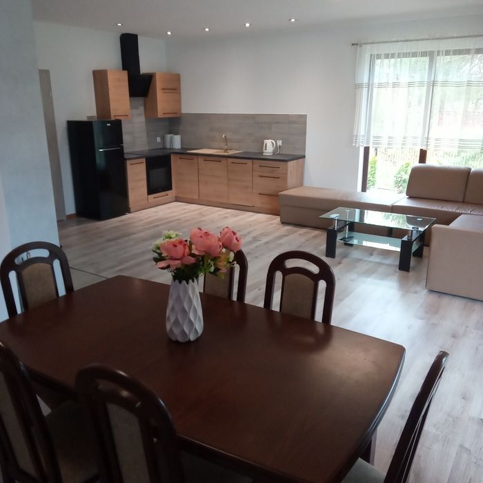 urokliwy-domek-nad-jeziorem-nr-2-jeziorna-olx-pl