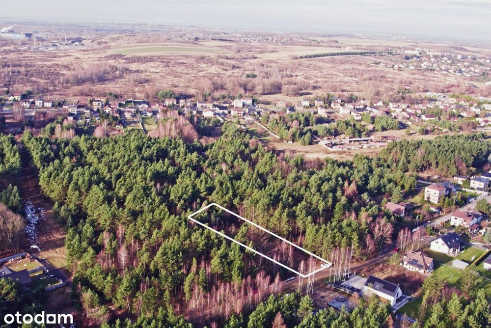 W nowej cenie - Piękna działka w otoczeniu lasu