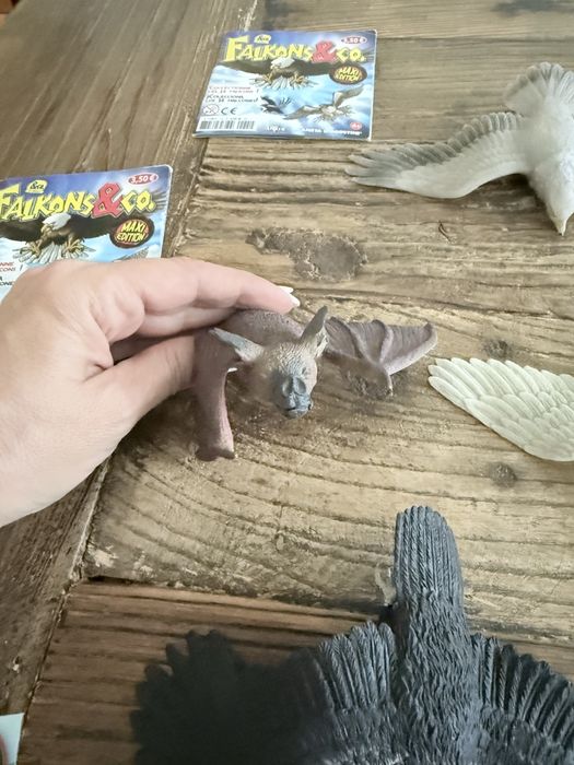 15 animais da Falcons, Bats, Sharks & Co