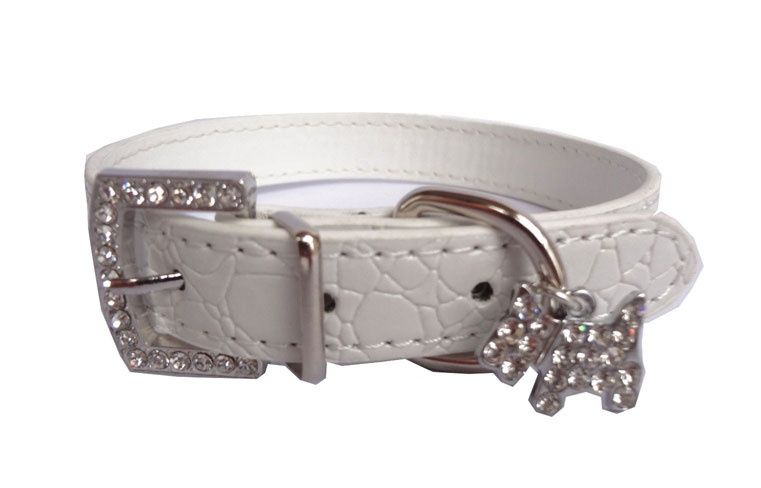 Kolorowe obróżki dla piesków