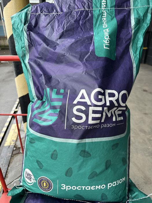 Насіння соняшника НСХ 8005, НСХ 6045, НС Таурус, НСХ 6749