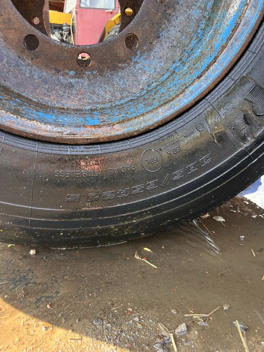 Opona plus felga do przyczepy brandys