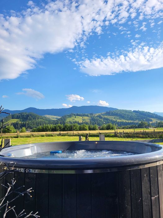 Оренда будинку шале котеджу дома відпочинок в горах карпати буковель