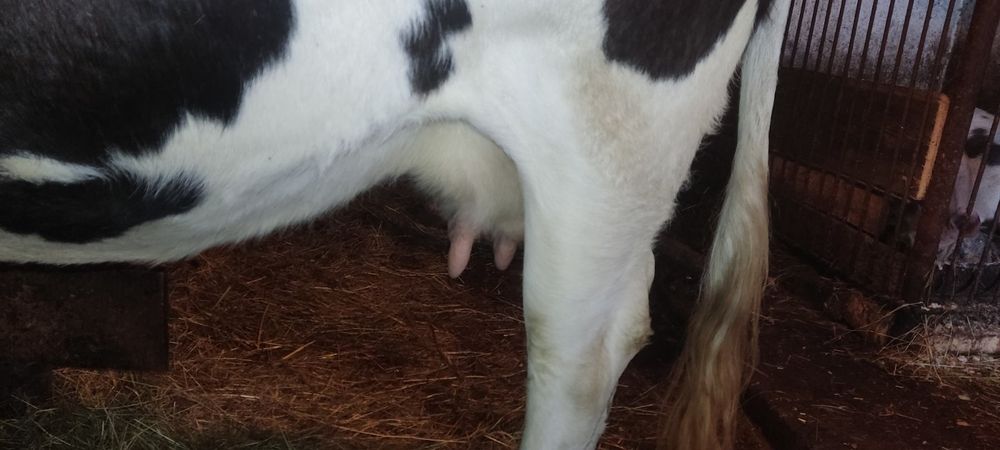 Терміновий продаж