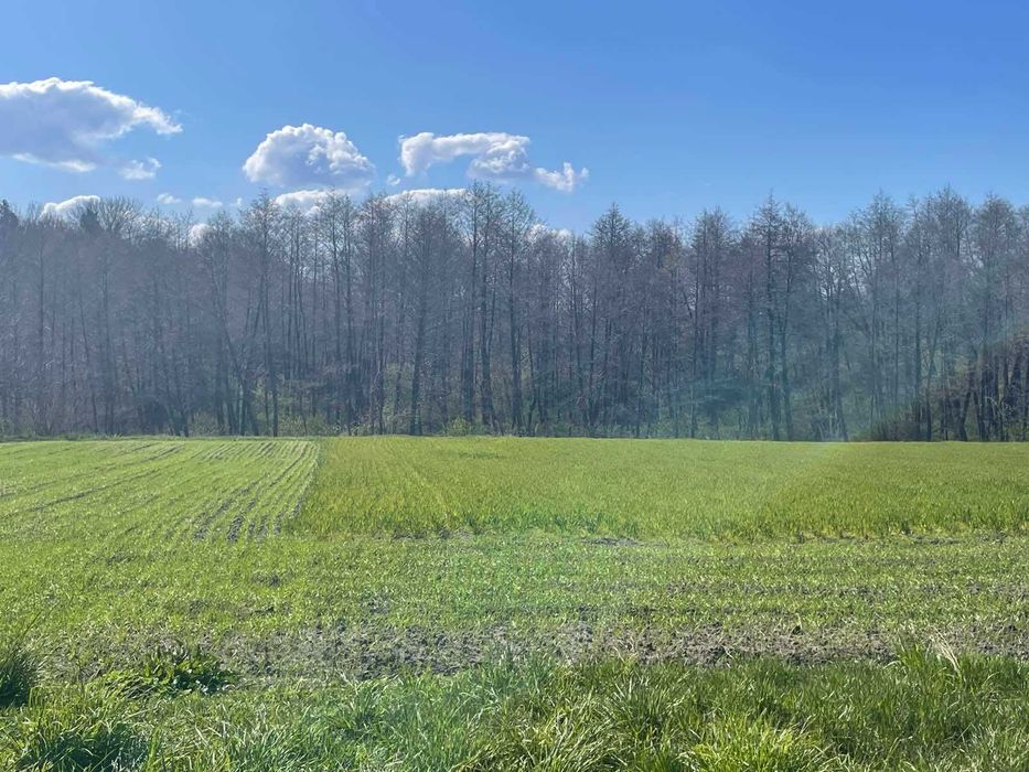 Продам земельну ділянку в с-щі Корнинське