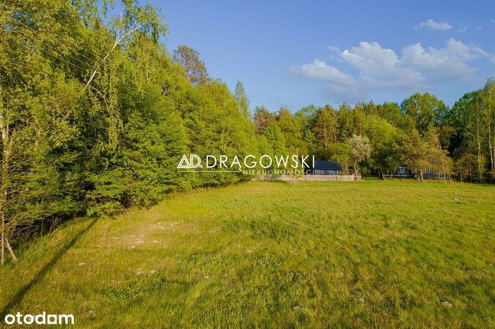 Działka 10.953 m² Sobolew pow. garwoliński - Widok 5