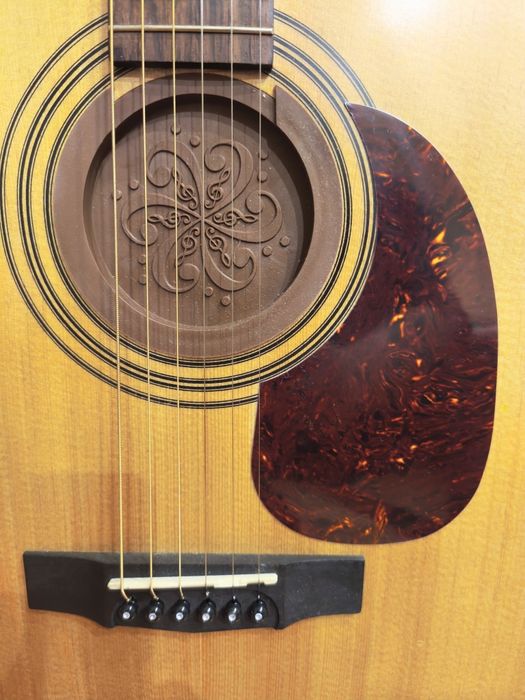 Трансакустична гітара.