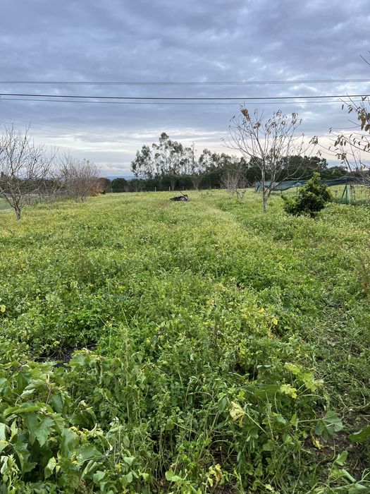 Vendo casa com terreno