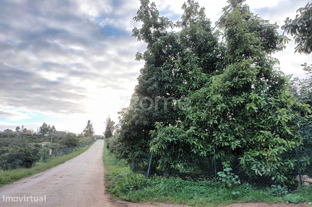 Terreno Agricola em Silves