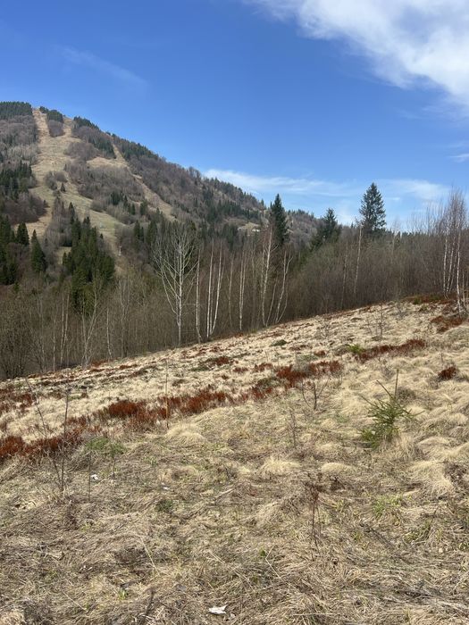 Продам земельну ділянку Славське