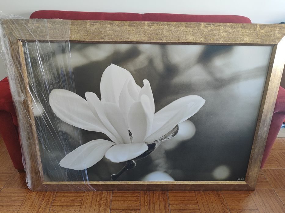 Tela Ikea Magnólia Preto e Branco com moldura  dourada